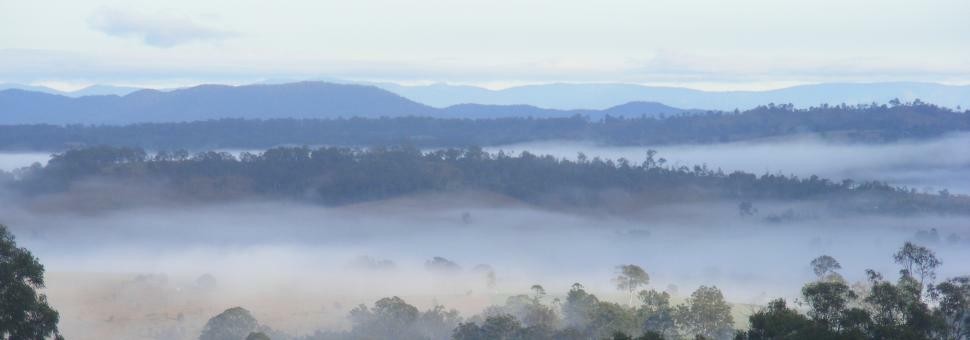 Misty Morning at Wallaby Ridge